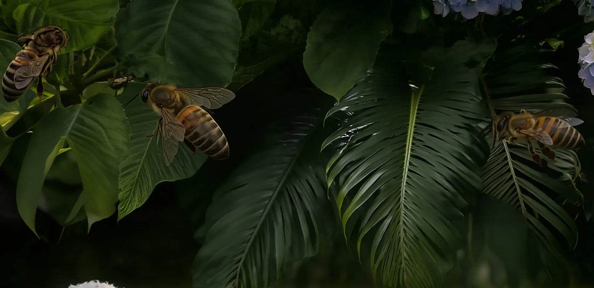 Just Bee
